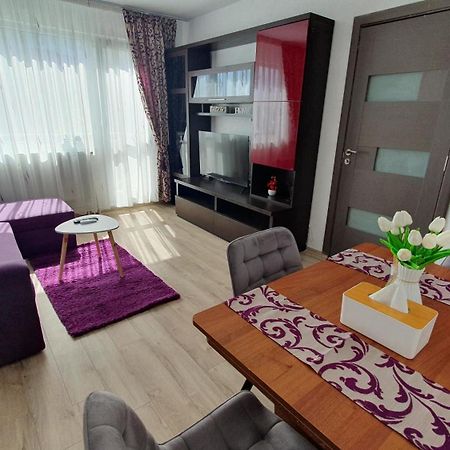 Andrei Apartment Брашов Экстерьер фото
