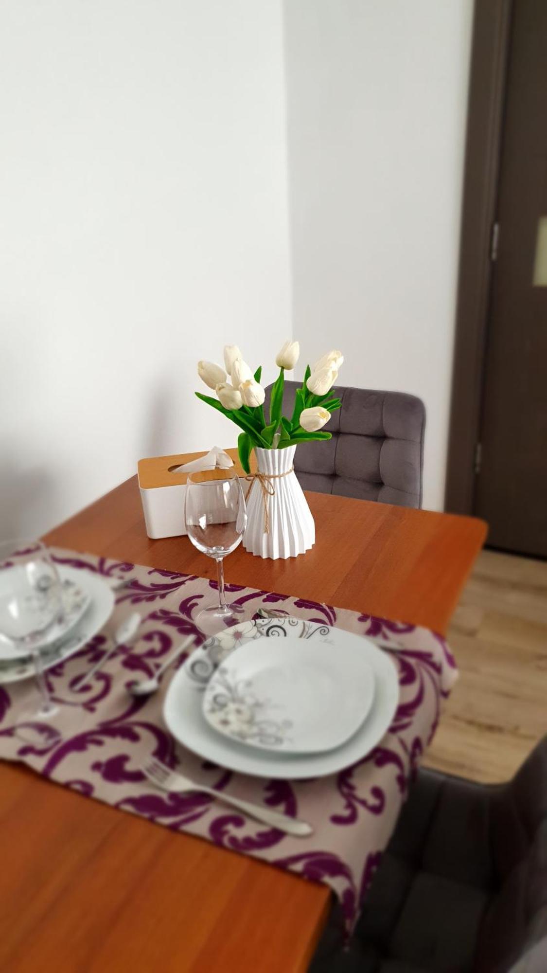 Andrei Apartment Брашов Экстерьер фото