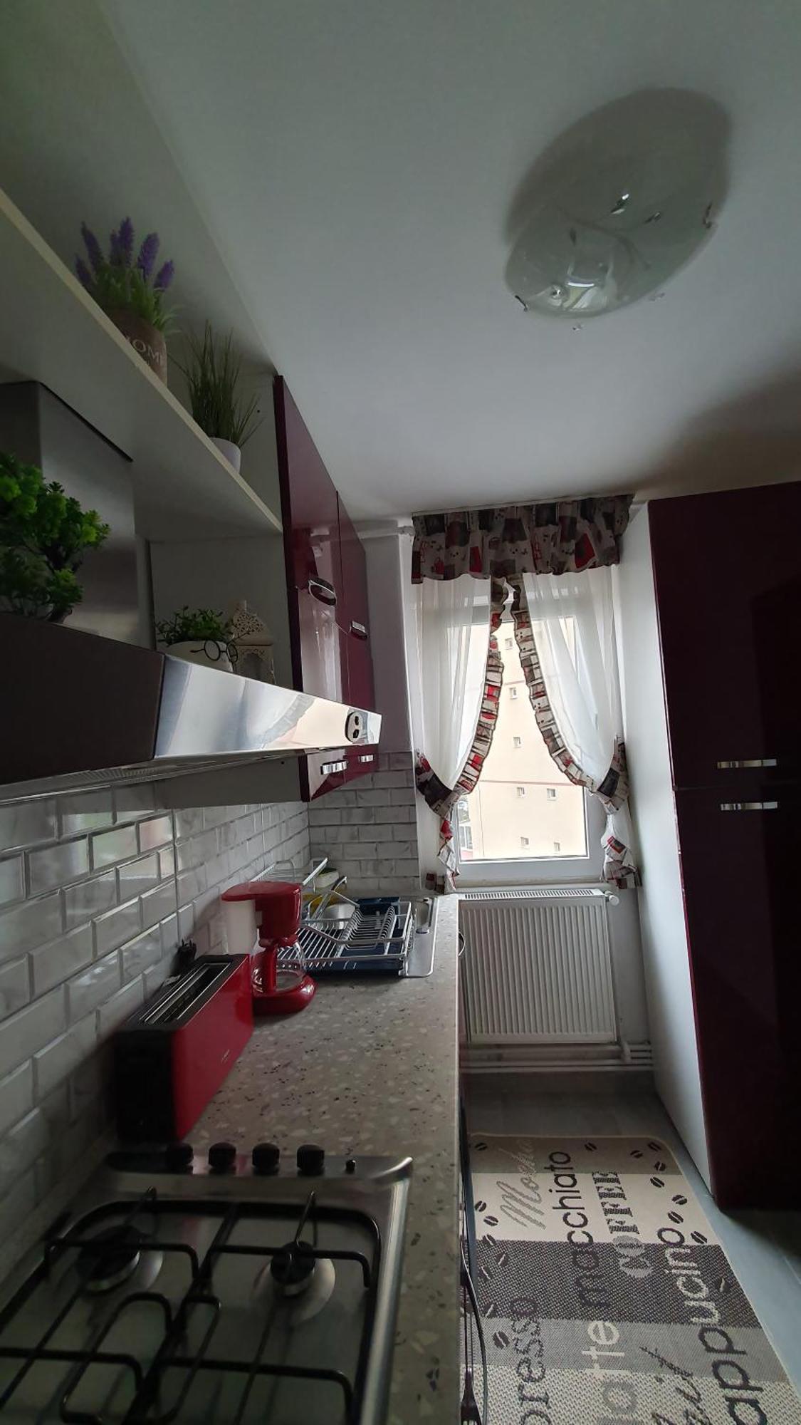 Andrei Apartment Брашов Экстерьер фото