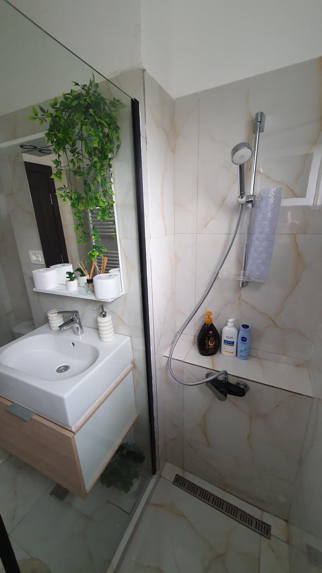 Andrei Apartment Брашов Экстерьер фото